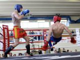 kickboxing (148 of 402)