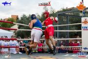 x-tra-round-10-0011