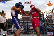 x-tra-round-10-0033