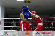 x-tra-round-14-0279