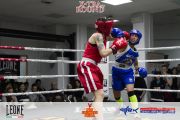 x-tra-round-15-pugilato-0003